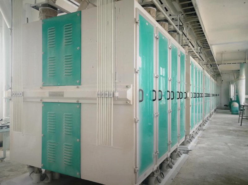 建筑机械租赁市场洞察：行业动态与发展趋势